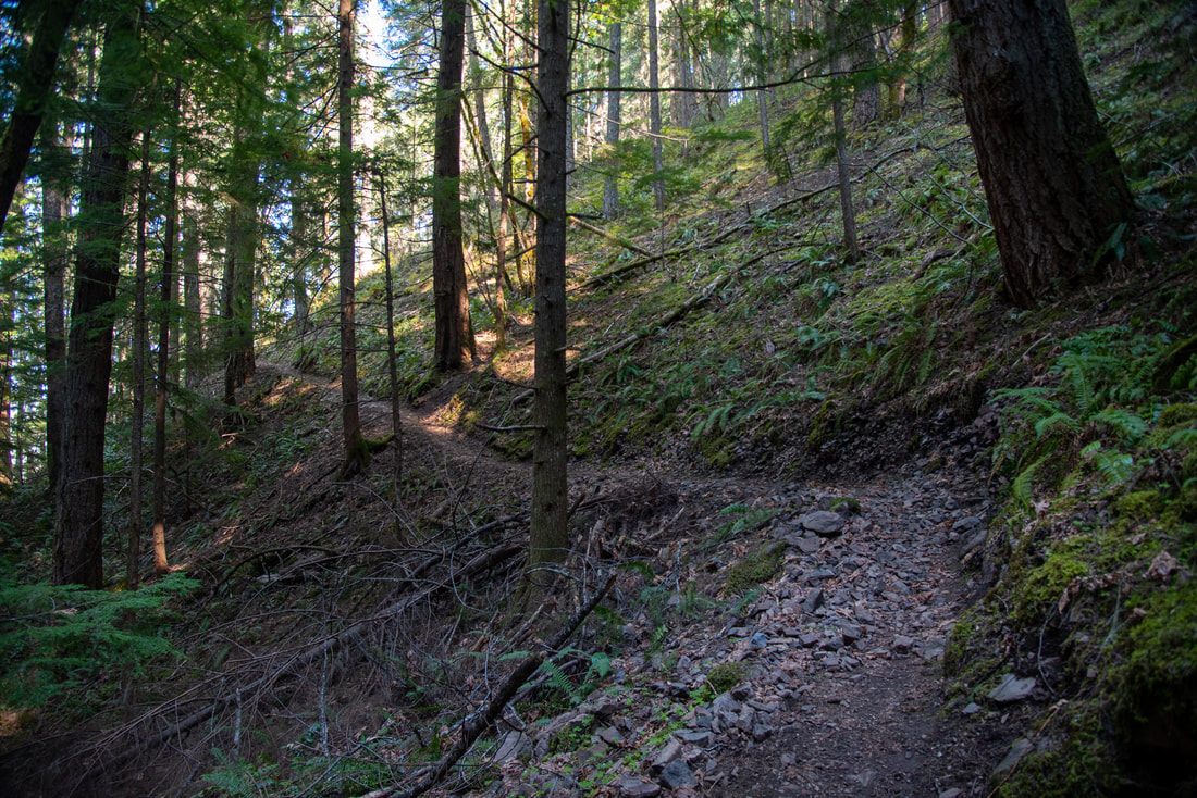 Tread of the Lawler Trail