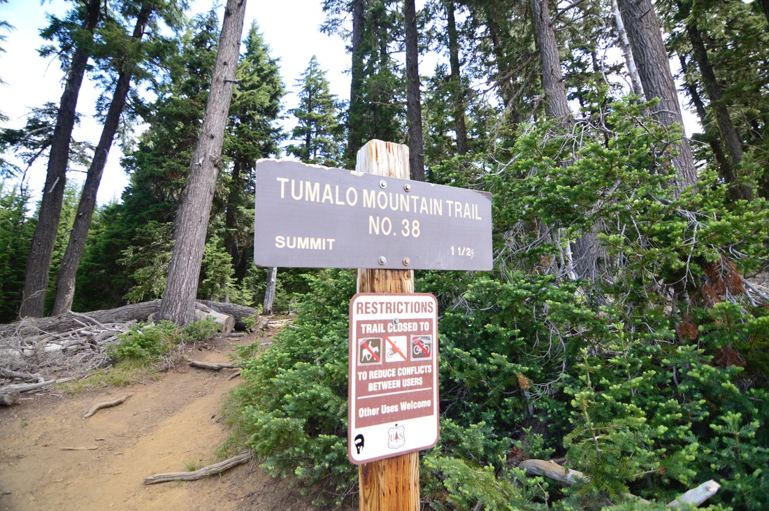 Tumalo Mountain trail sign