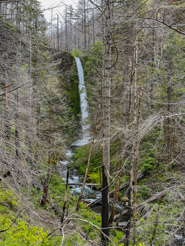 Tunnel Falls Eagle Creek Trail