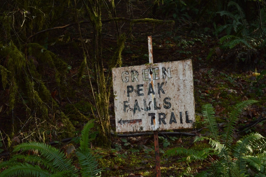 sign to Green Peak Falls trail Alsea Falls Recreational area