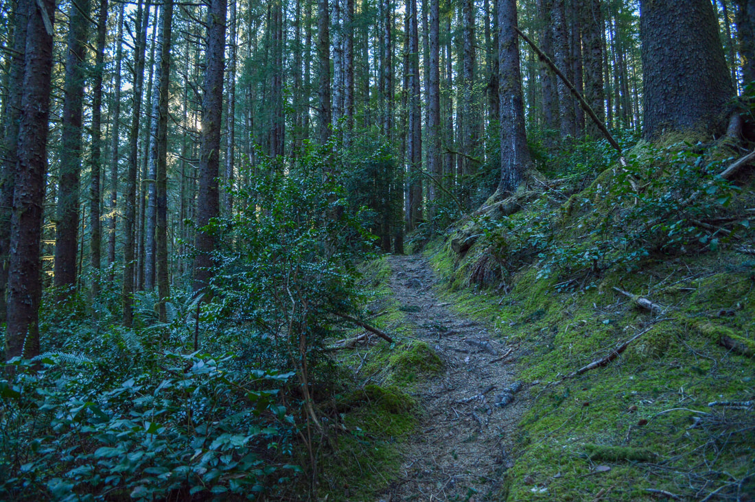 Valley Trail trail tread