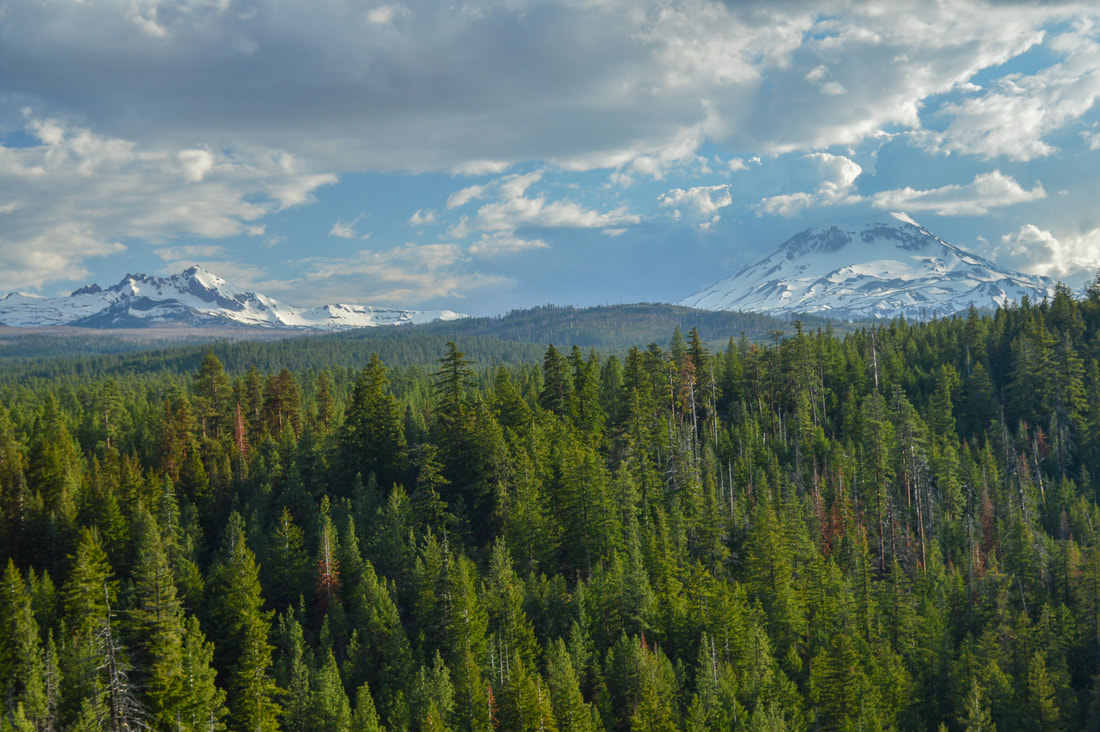 view of Broken Top and South Sister from Whychus Creek viewpoint