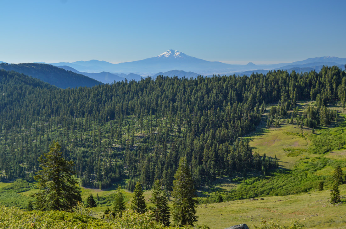 view of Mount Shasta Oregon Pacific Crest Trail