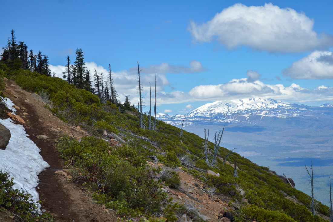 View of Mt. Jefferson from Black Butte trail