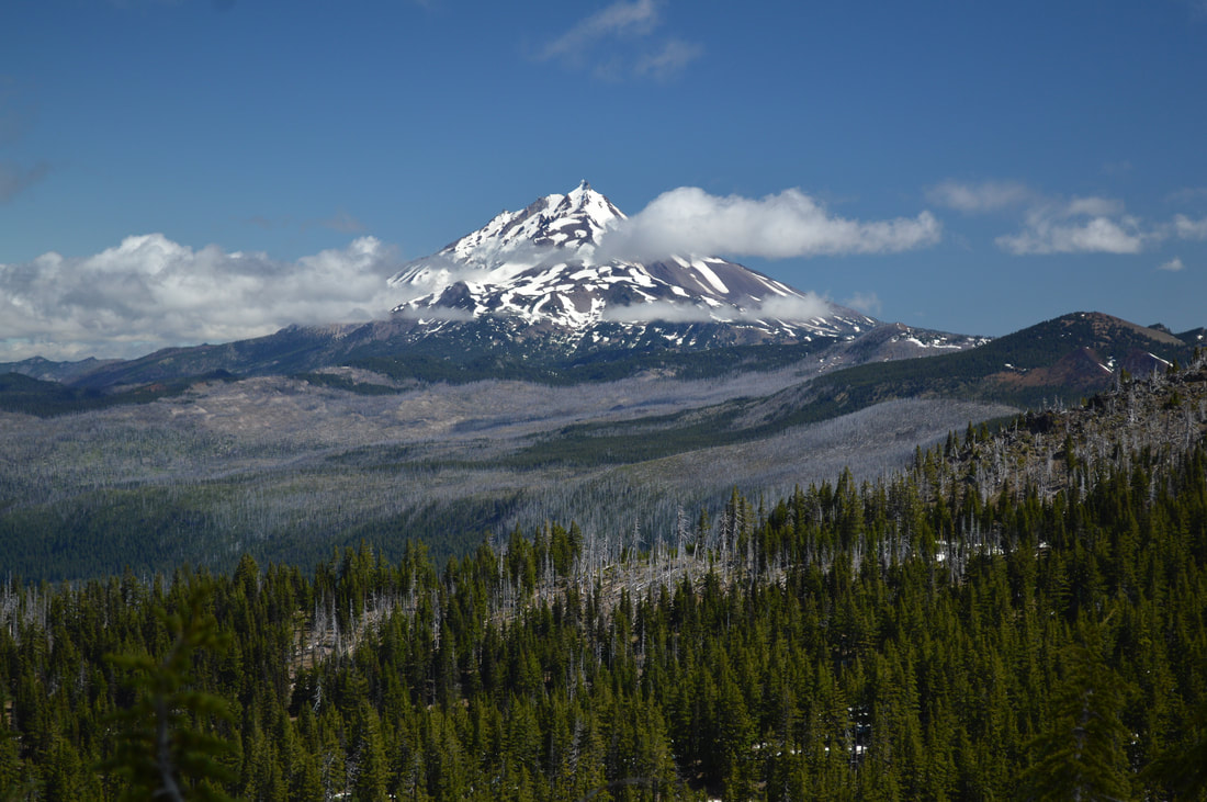 View of Mt. Jefferson from the Three Fingered Jack Loop