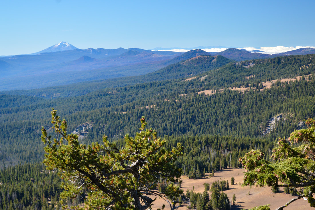 View of Mt. McLoughlin from Mount Scott Trail