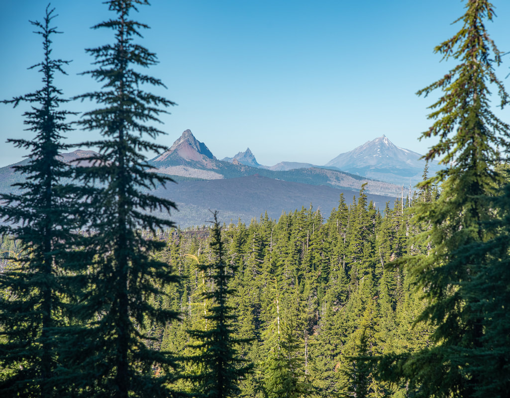 View of Mt. Washington, Three Fingered Jack, Mt. Jefferson from the Pacific Crest Trail