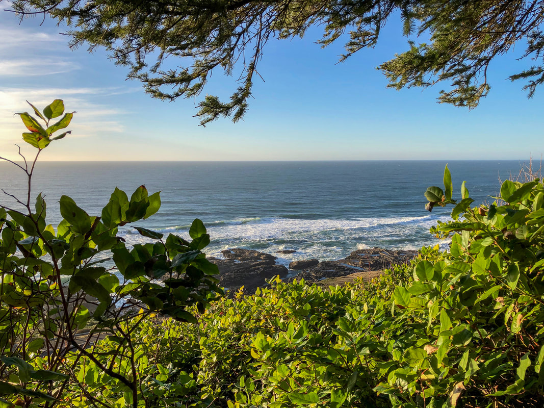 View of ocean from Oregon Coast Trail