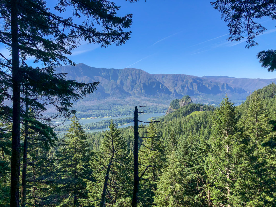 view of the Columbia River Gorge from the Hamilton Mountain Trail
