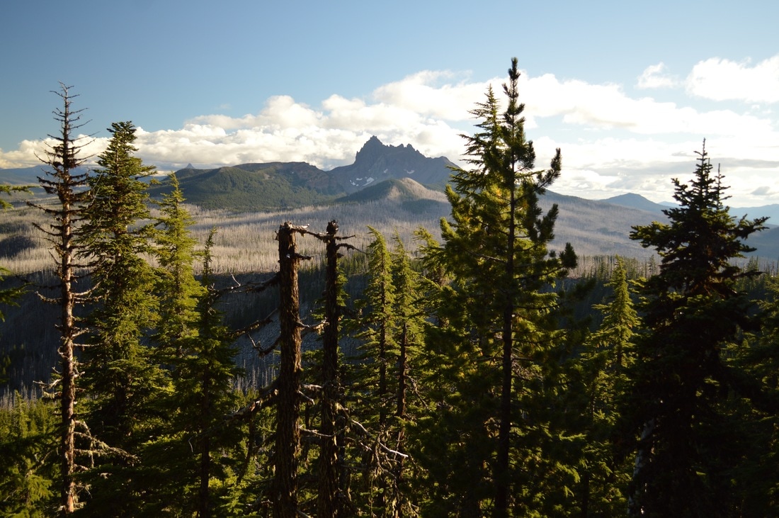View of Three Finger Jack from Pacific Crest Trail 
