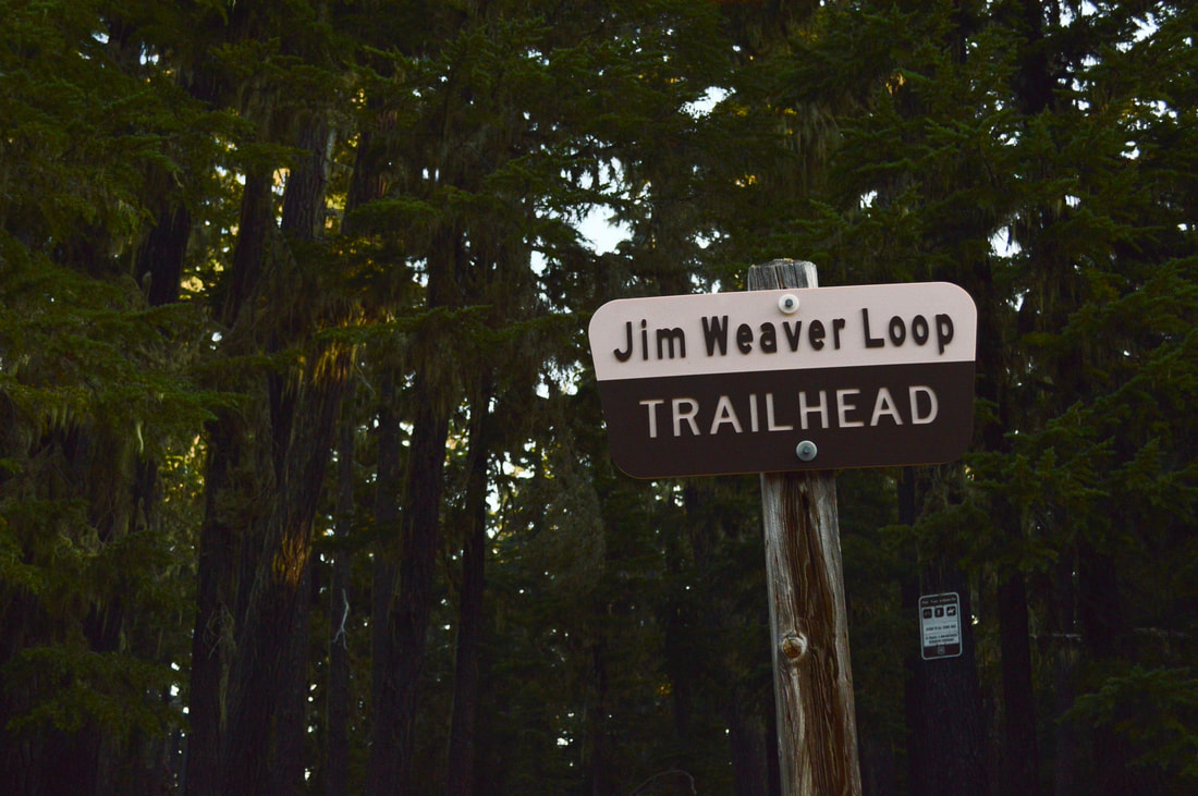 Waldo Lake Loop Jim Weaver Loop sign