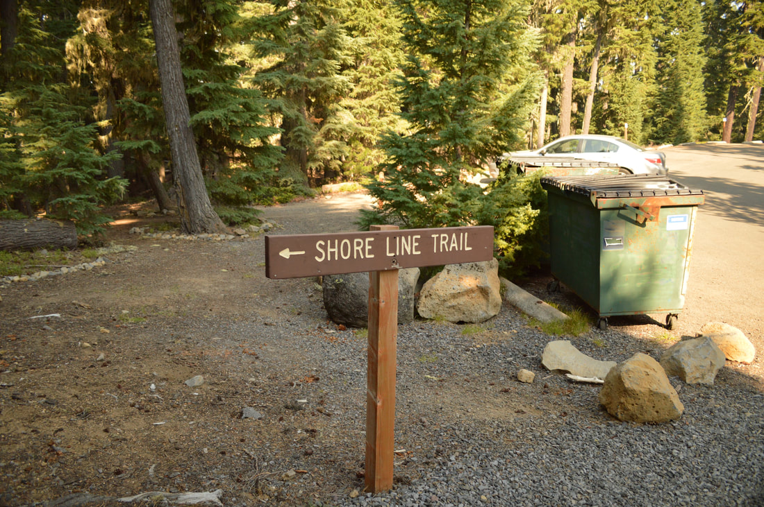 Waldo Lake Shore Trail
