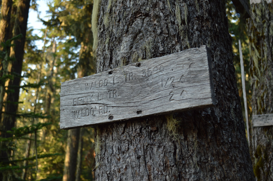 Waldo Lake Trail sign