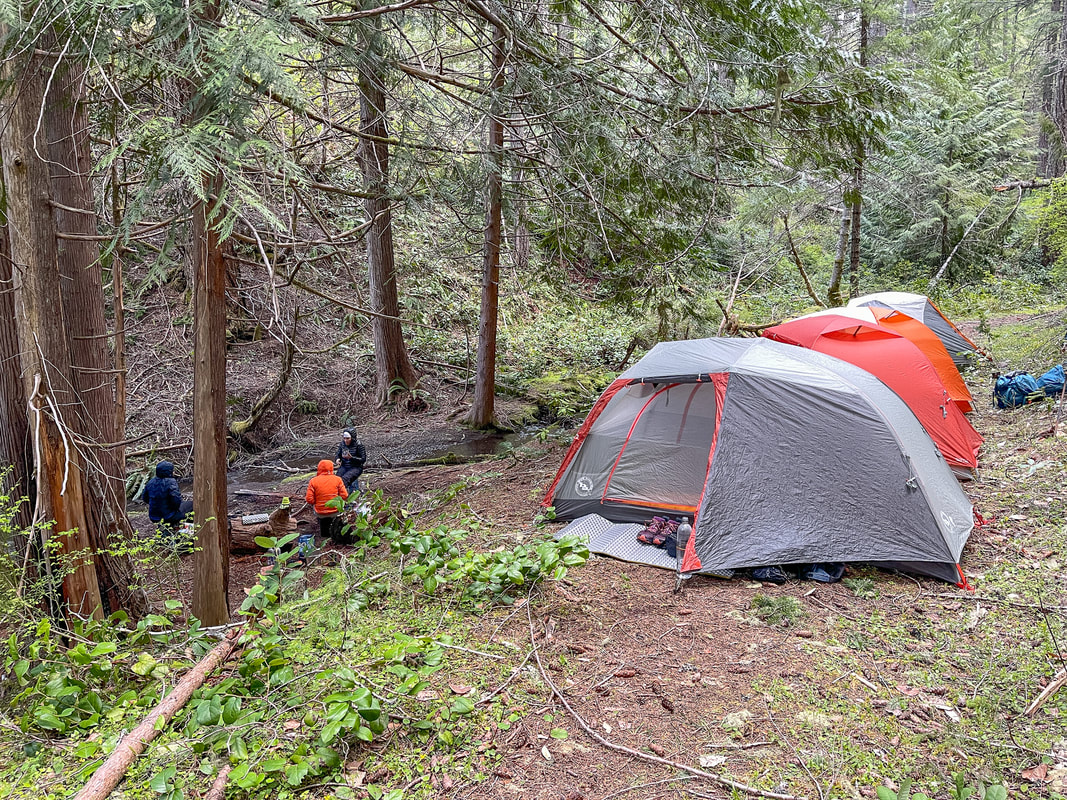 West Fork Mule Creek backcountry campsite