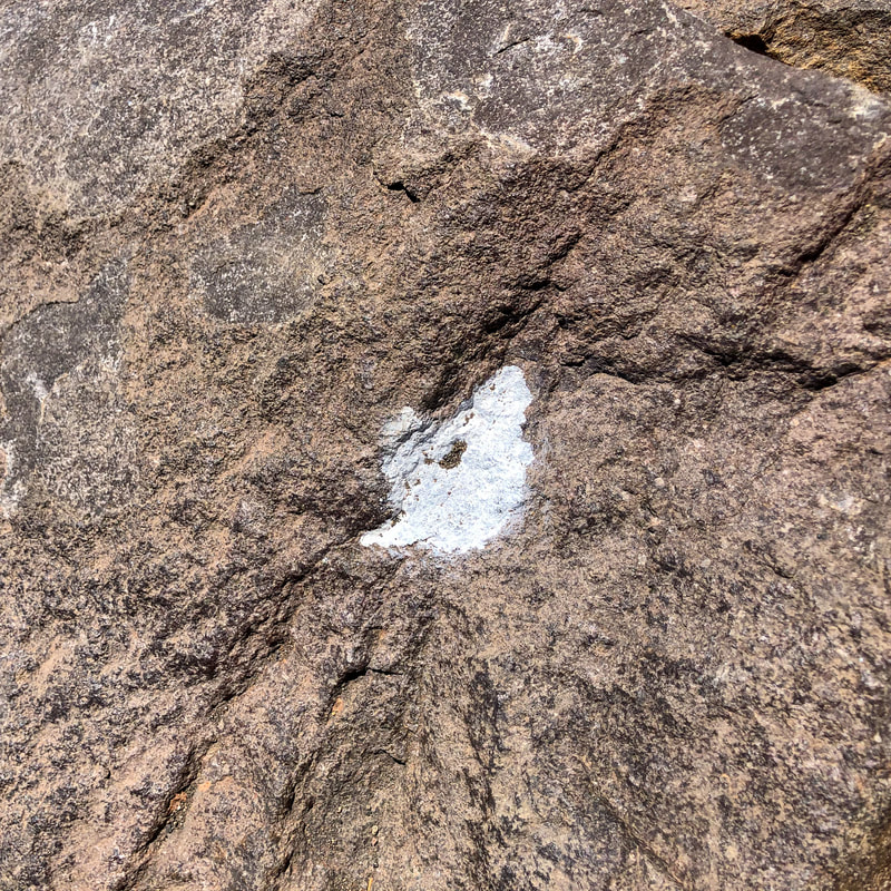 White blaze marker Mt. McLoughlin climber trail