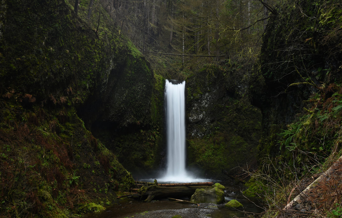 Wiesendanger Falls Columbia Gorge best Oregon waterfall hike
