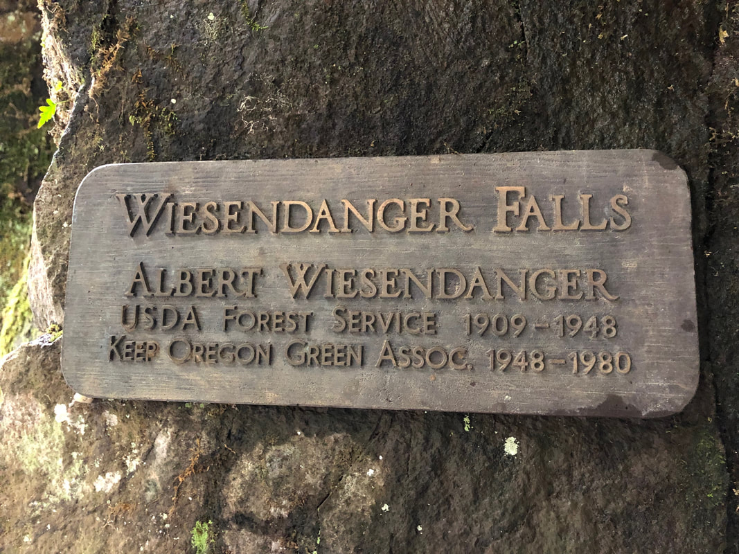 Wiesendanger Falls sign