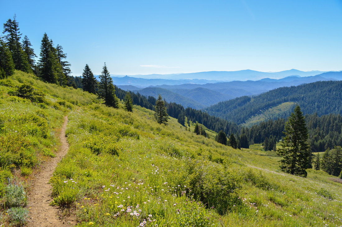 wildflower meadows near Siskiyou Peak Oregon Pacific Crest Trail
